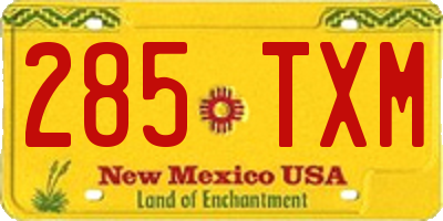 NM license plate 285TXM