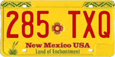 NM license plate 285TXQ
