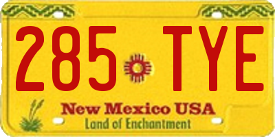 NM license plate 285TYE