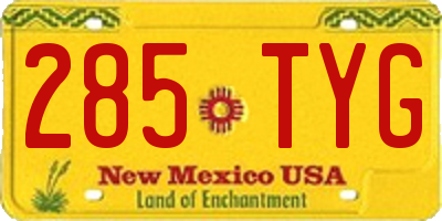NM license plate 285TYG