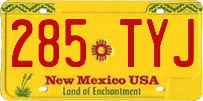 NM license plate 285TYJ