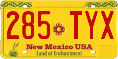 NM license plate 285TYX