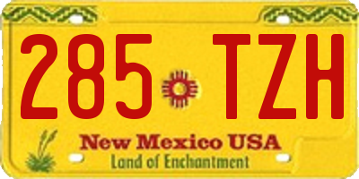 NM license plate 285TZH