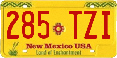 NM license plate 285TZI