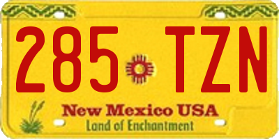 NM license plate 285TZN