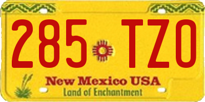 NM license plate 285TZO