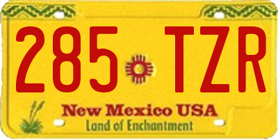 NM license plate 285TZR