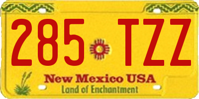 NM license plate 285TZZ