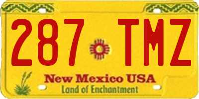 NM license plate 287TMZ