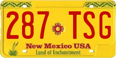 NM license plate 287TSG