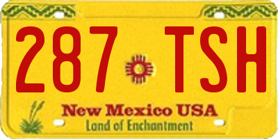 NM license plate 287TSH