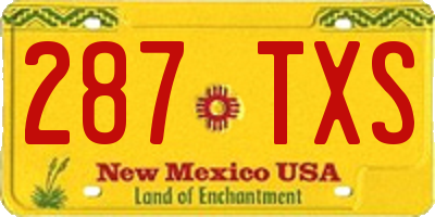NM license plate 287TXS