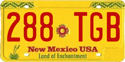 NM license plate 288TGB