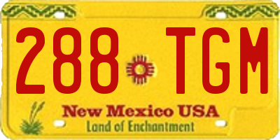 NM license plate 288TGM