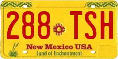 NM license plate 288TSH