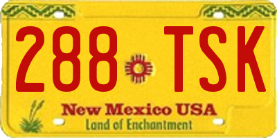 NM license plate 288TSK