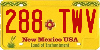 NM license plate 288TWV