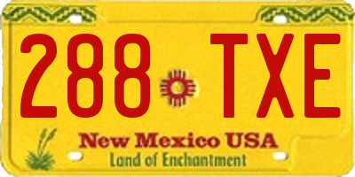 NM license plate 288TXE