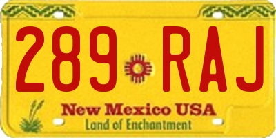 NM license plate 289RAJ