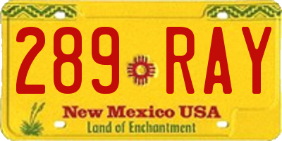 NM license plate 289RAY