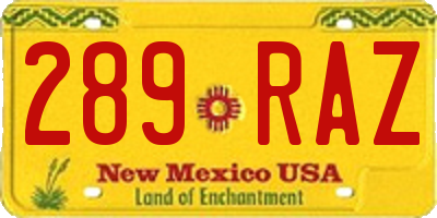 NM license plate 289RAZ