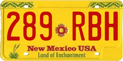 NM license plate 289RBH