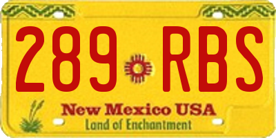 NM license plate 289RBS