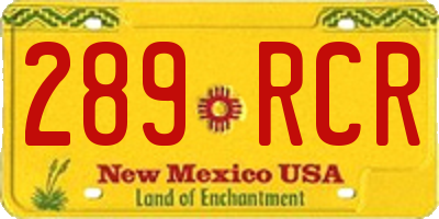 NM license plate 289RCR