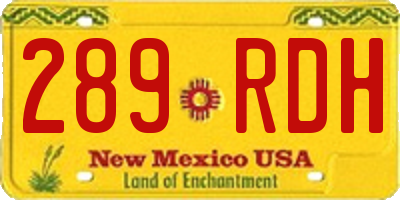 NM license plate 289RDH