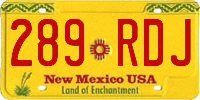NM license plate 289RDJ