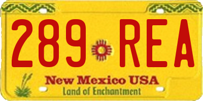 NM license plate 289REA