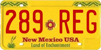 NM license plate 289REG