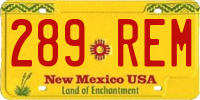 NM license plate 289REM