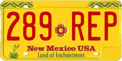 NM license plate 289REP