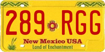 NM license plate 289RGG
