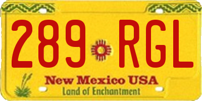 NM license plate 289RGL