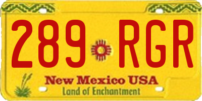 NM license plate 289RGR
