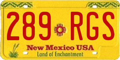 NM license plate 289RGS