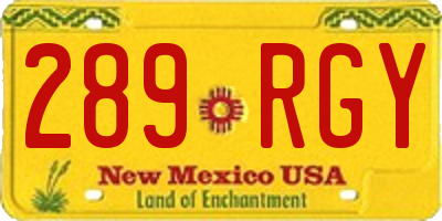NM license plate 289RGY