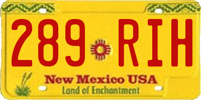 NM license plate 289RIH