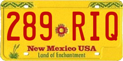 NM license plate 289RIQ