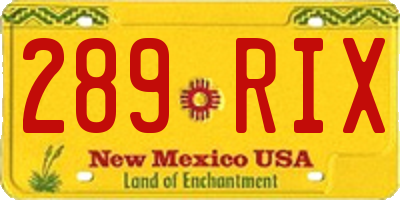 NM license plate 289RIX