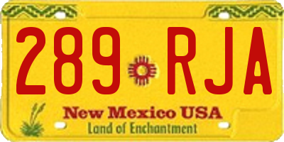 NM license plate 289RJA