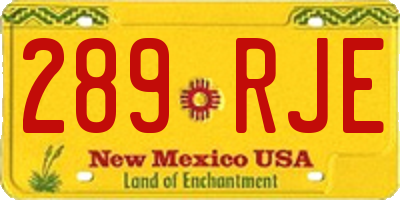 NM license plate 289RJE