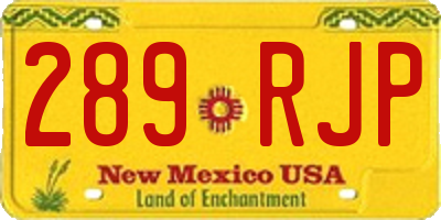 NM license plate 289RJP