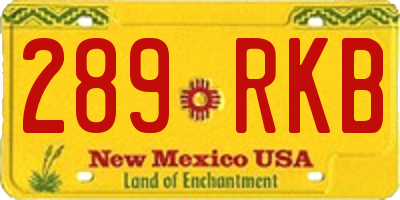 NM license plate 289RKB