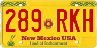 NM license plate 289RKH