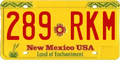 NM license plate 289RKM