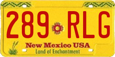 NM license plate 289RLG