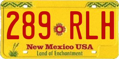 NM license plate 289RLH